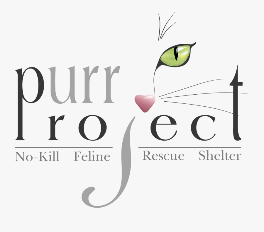 Purr Project - Graphic Design, Transparent Clipart