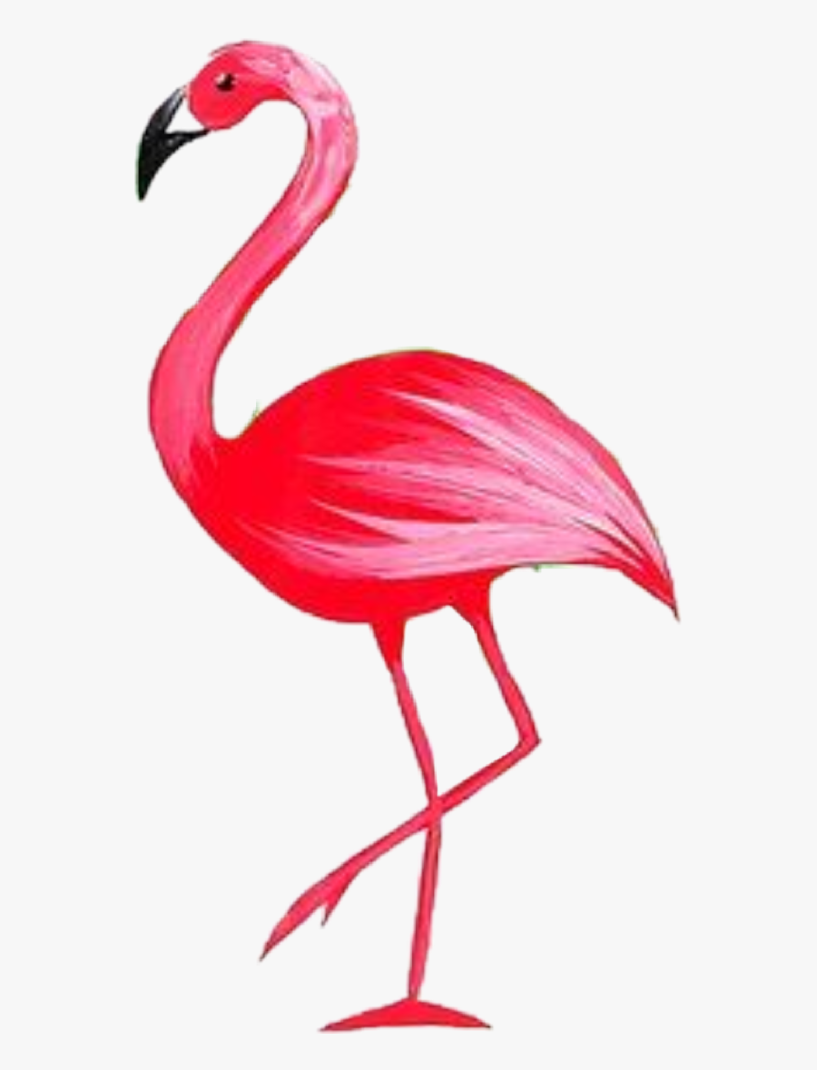 #flamingostickerremix #flamingo #flamenco - Greater Flamingo, Transparent Clipart