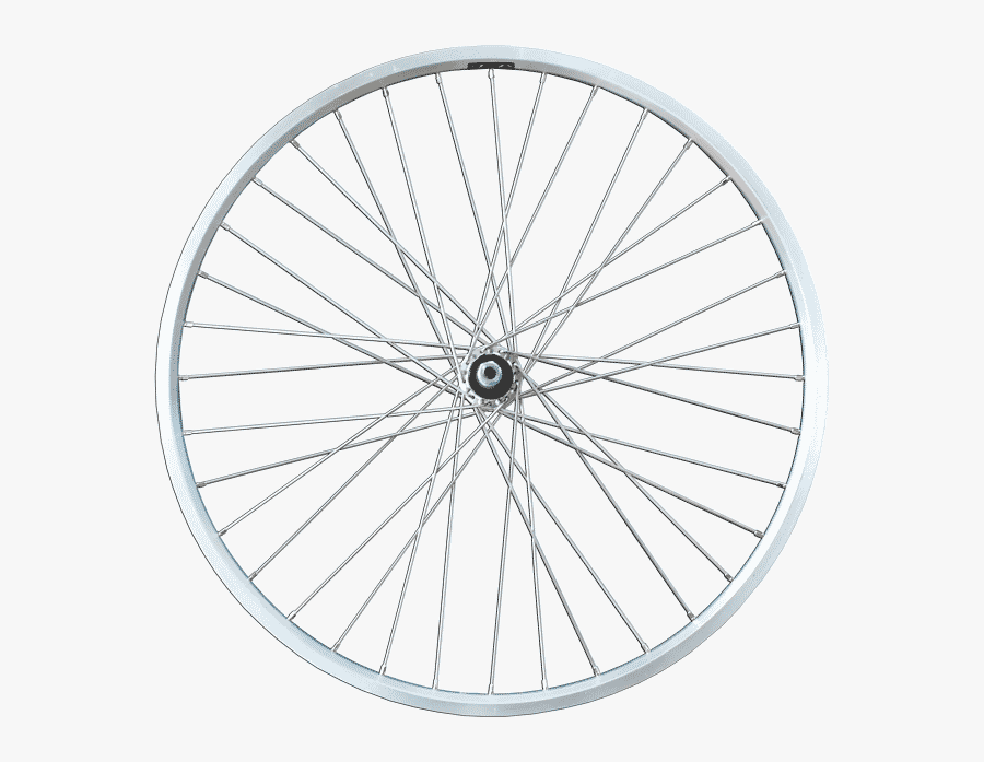 bicycle rim spokes