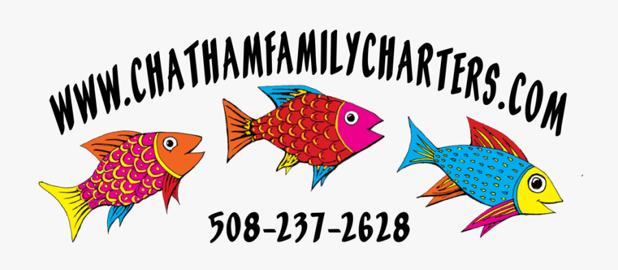 Cape Cod Fishing Charters - Coral Reef Fish, Transparent Clipart
