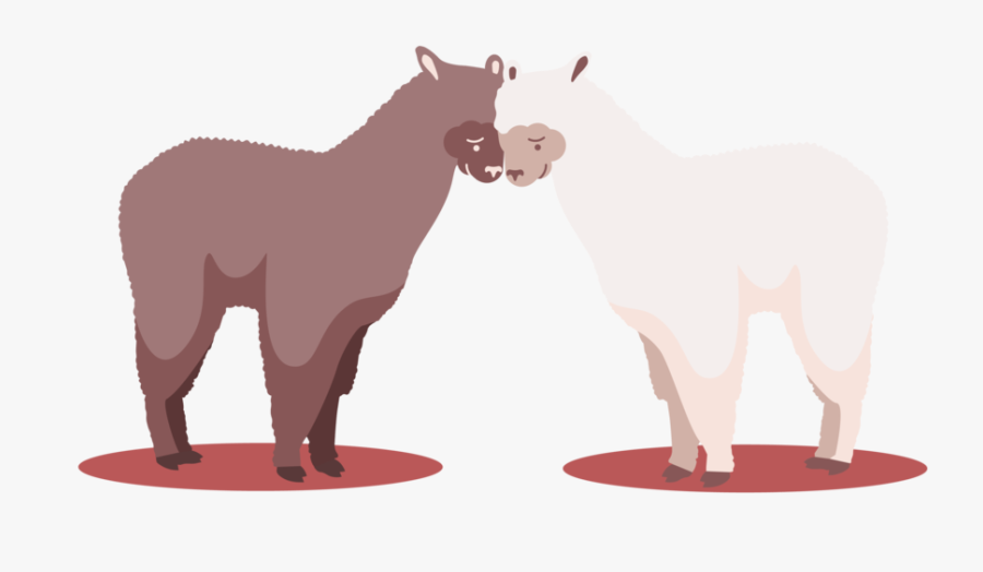 Lamas8-20 - Mane, Transparent Clipart