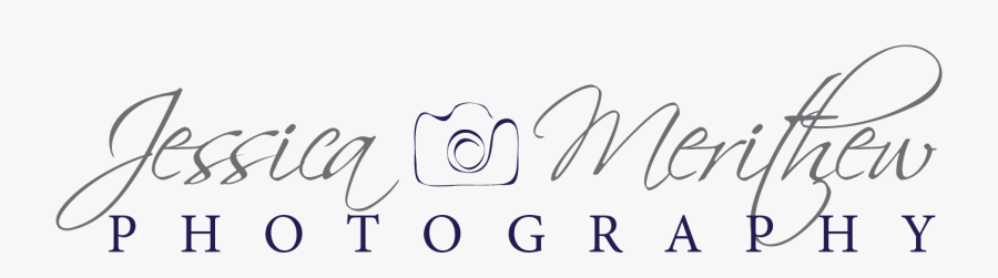 Photography, Transparent Clipart