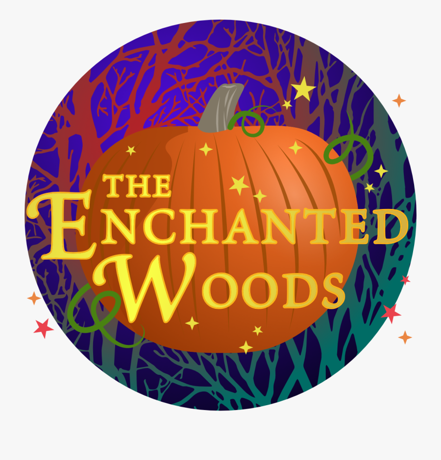 Circle, Transparent Clipart