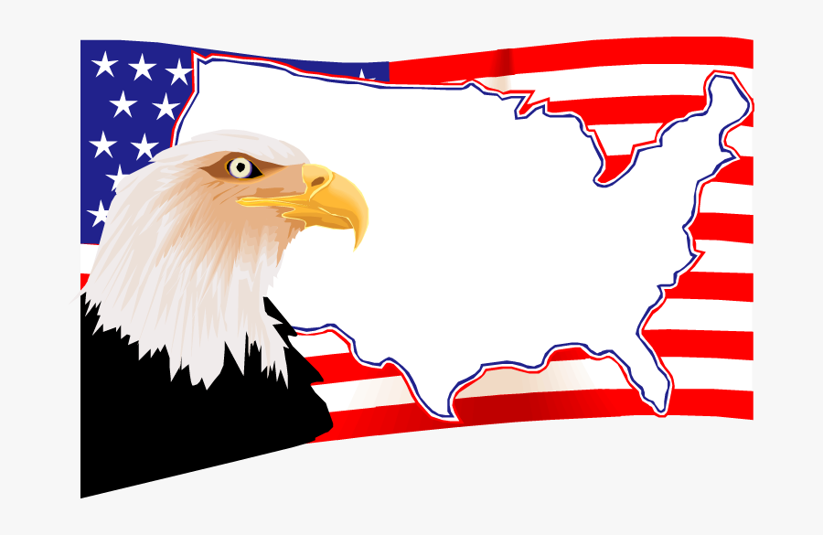 Memorial Day Adventures With - Bald Eagle, Transparent Clipart