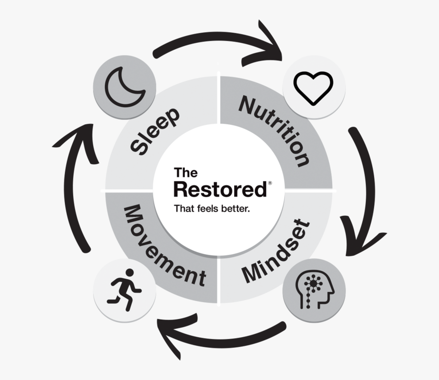 The Restored Core Ares Of Self Care Diagram - Circle, Transparent Clipart