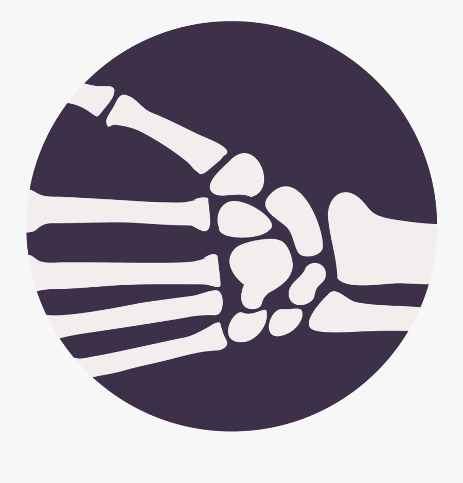 Circle, Transparent Clipart