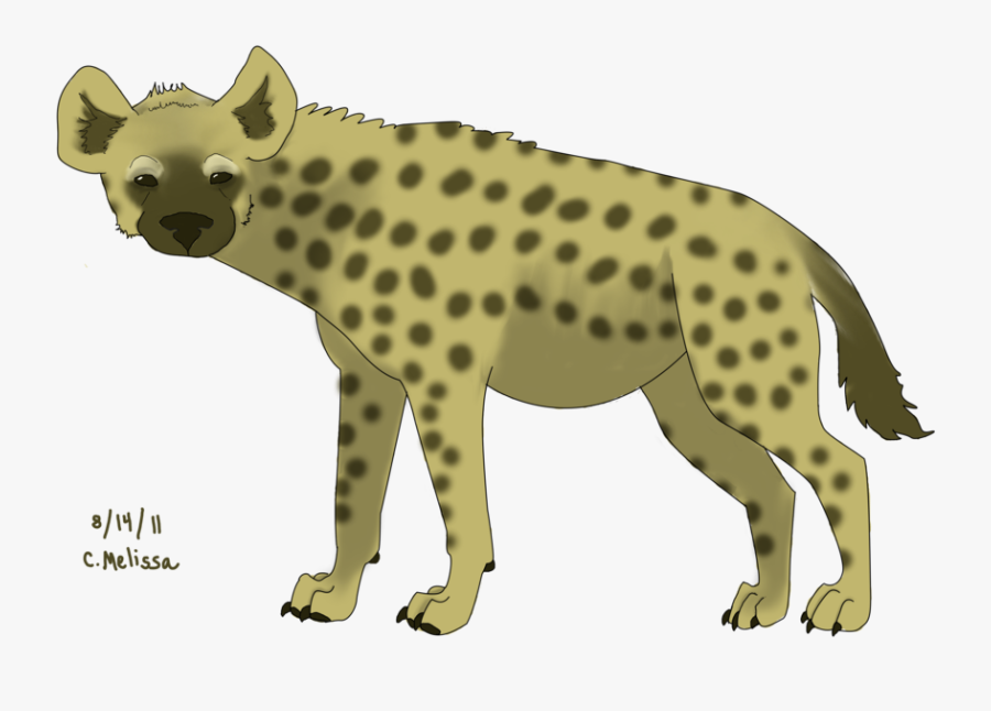 Hyena Png - Hyena, Transparent Clipart