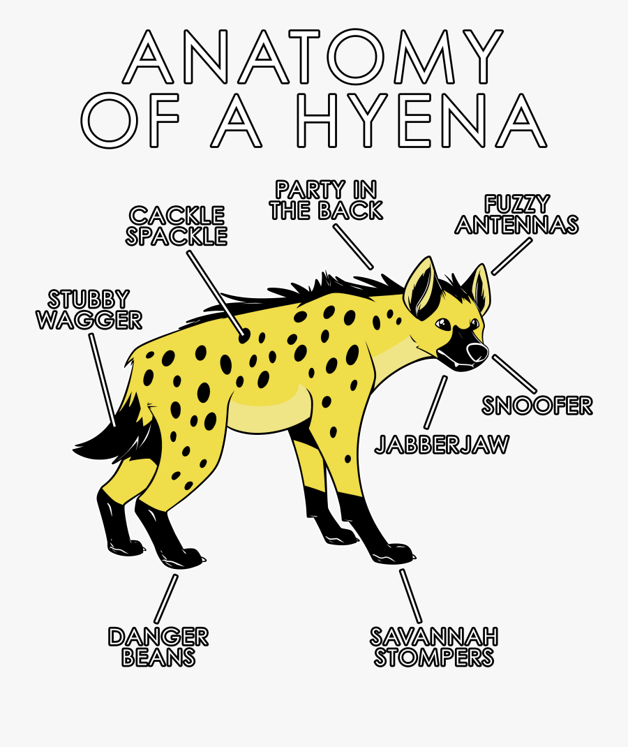 Spotted Hyena, Transparent Clipart