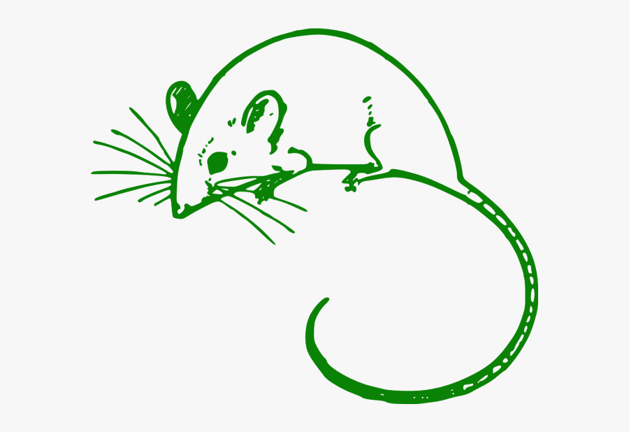 Mouse Black And White Clipart, Transparent Clipart
