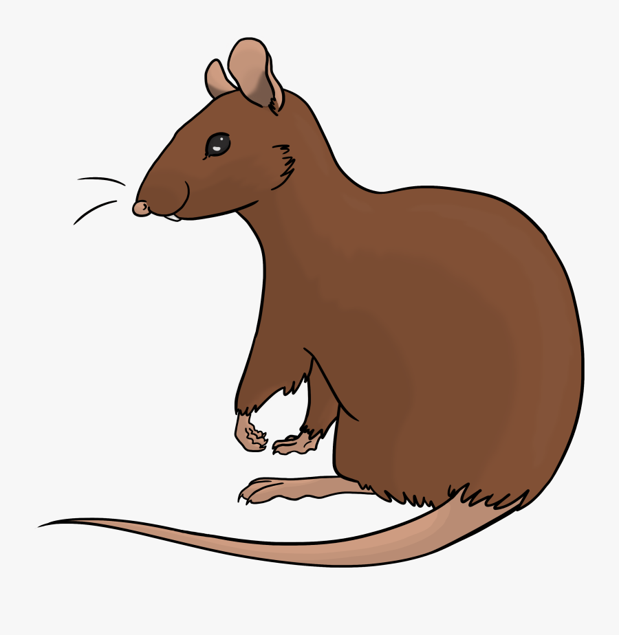 Portable Network Graphics, Transparent Clipart