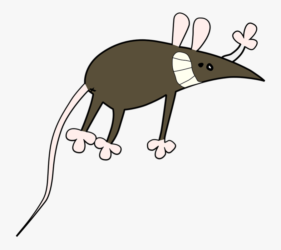 Rat - หนู การ์ตูน Png, Transparent Clipart