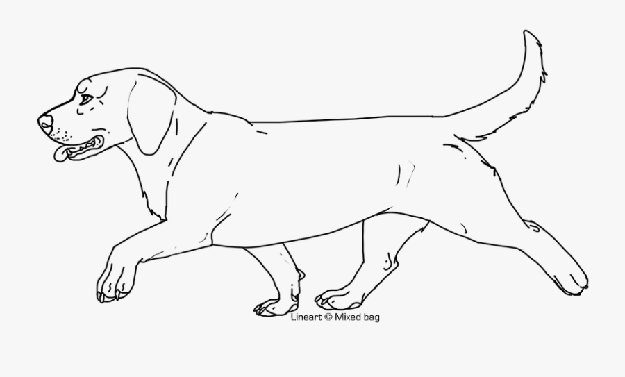 Basset Hound Lineart - Harrier, Transparent Clipart