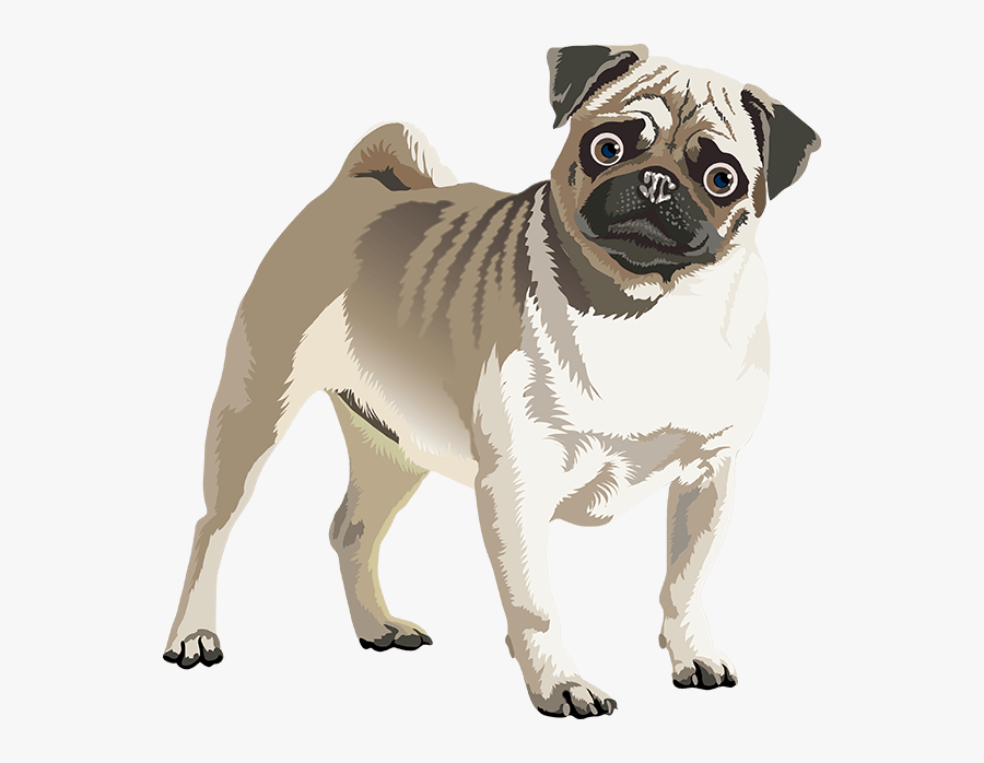 Realistic Dog Art, Transparent Clipart