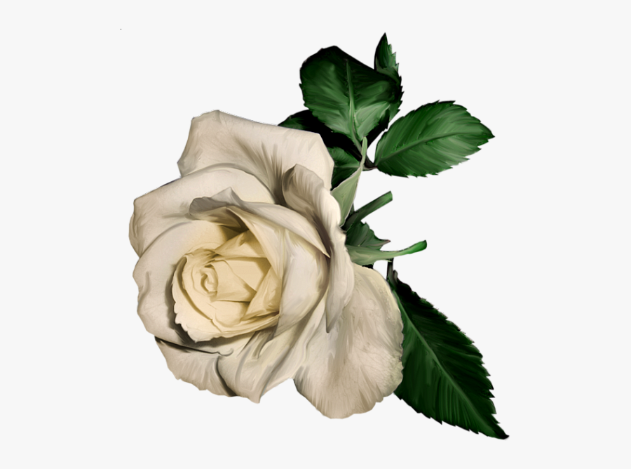 Transparent Mason Jar Flowers Png - White Flower Painting Transparent, Transparent Clipart