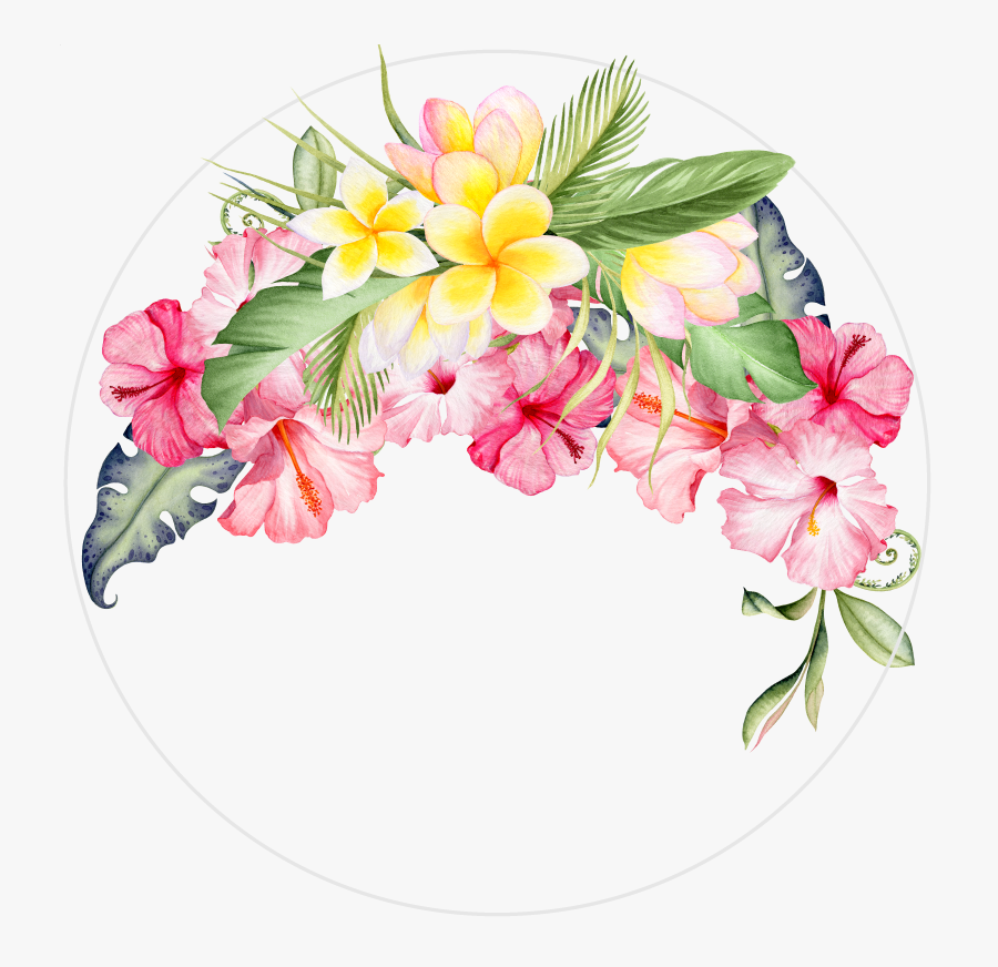 Transparent Hawaiian Frangipani And Hibiscus Borders, Transparent Clipart