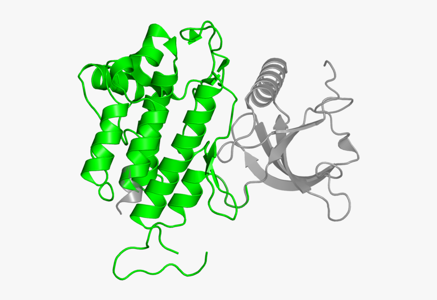 <div Class="caption-body, Transparent Clipart