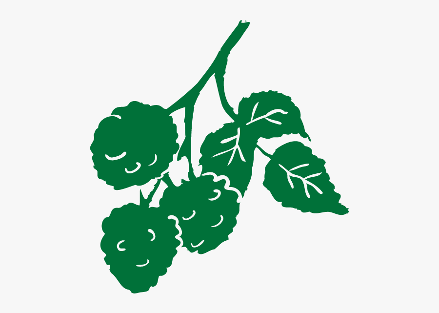 Berry-fruit Farm - Illustration, Transparent Clipart