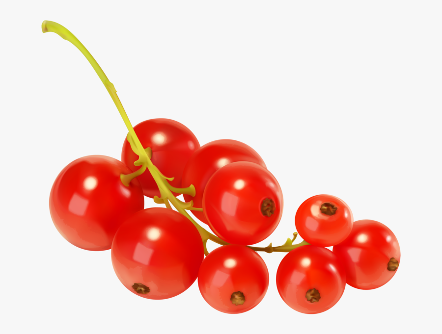 Red Currants Png Clipart - Red Currant Png, Transparent Clipart