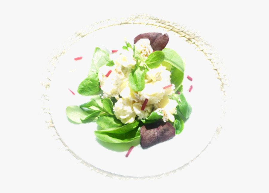 Potato Salad Lots Of Potato Salad Ideas Here - Garden Salad, Transparent Clipart