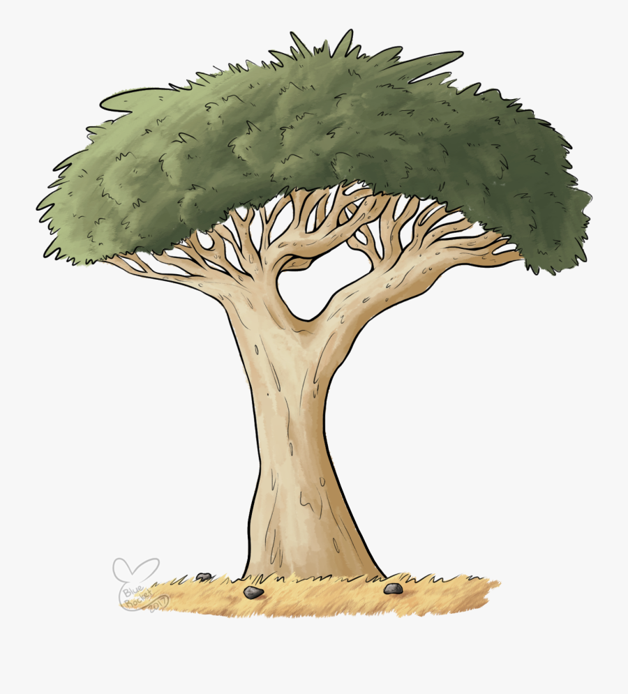 Dragon Blood Tree Drawing Free Transparent Clipart Clipartkey