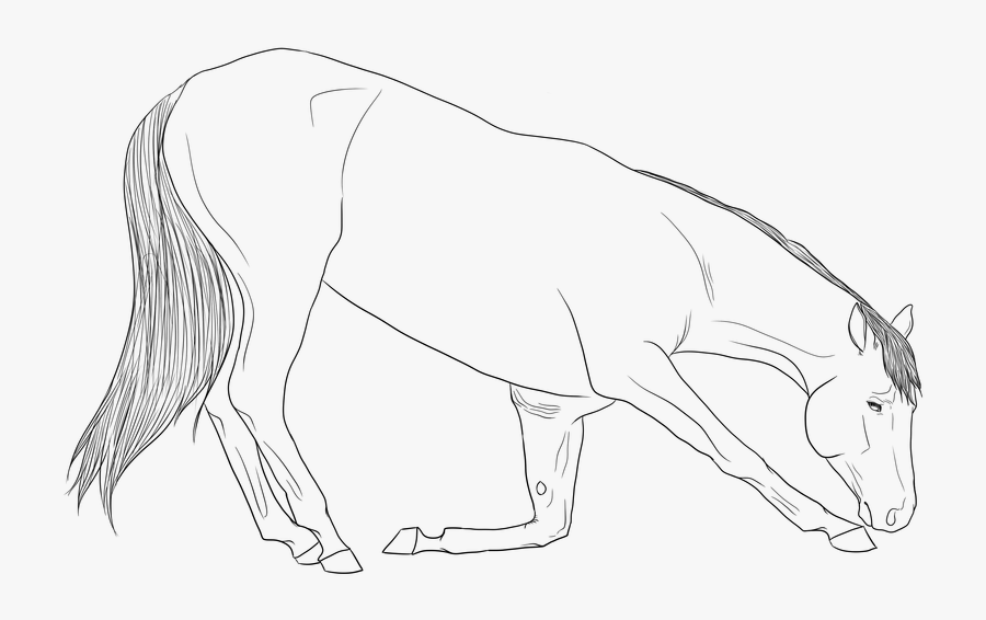 Free Horse By Jetblackpatriot - Horse Bowing Lineart, Transparent Clipart