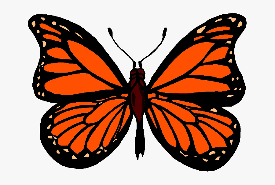 Butterfly Monarch Images Clip Art Image Transparent - Monarch Butterfly Cartoon, Transparent Clipart
