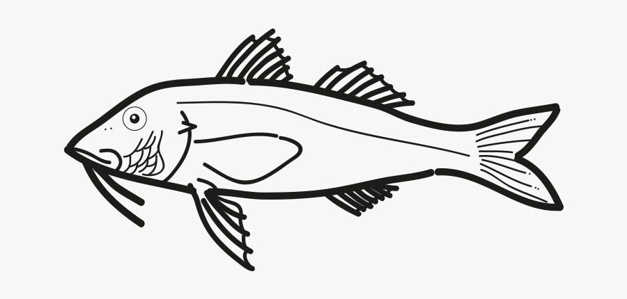 Salmonete Pseudupeneus Prayensis Frioantartic - Ray-finned Fish, Transparent Clipart