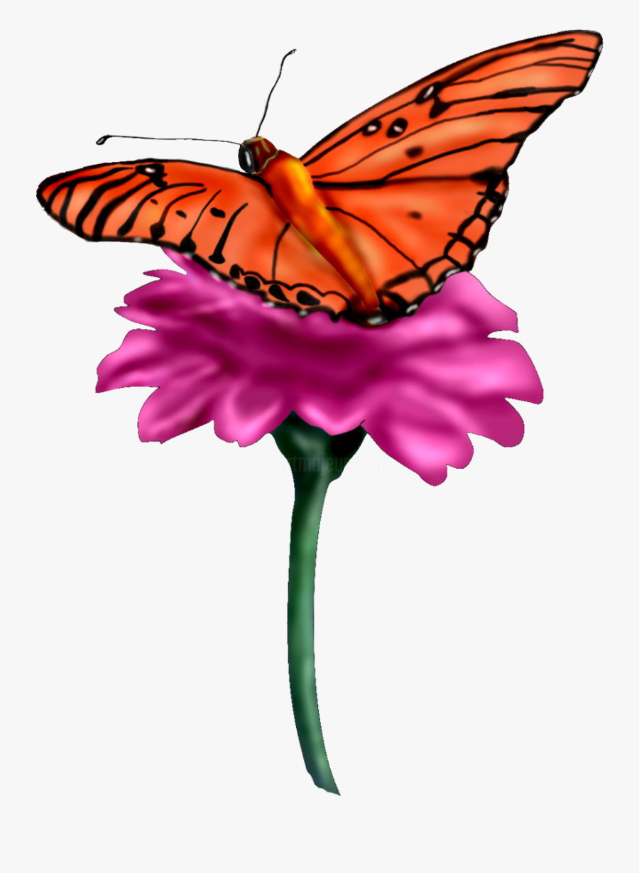 Transparent Monarch Clipart - Borboleta Png, Transparent Clipart