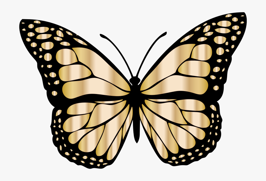Monarch Butterfly 2 Variation - Butterfly Colour, Transparent Clipart