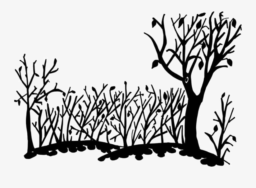 Nature Background Silhouette Png - Forest Drawing Transparent Background, Transparent Clipart