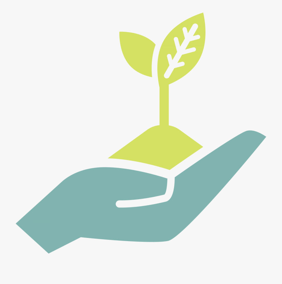 Hand Holding Green Sprout - Open Hands Png Icon, Transparent Clipart
