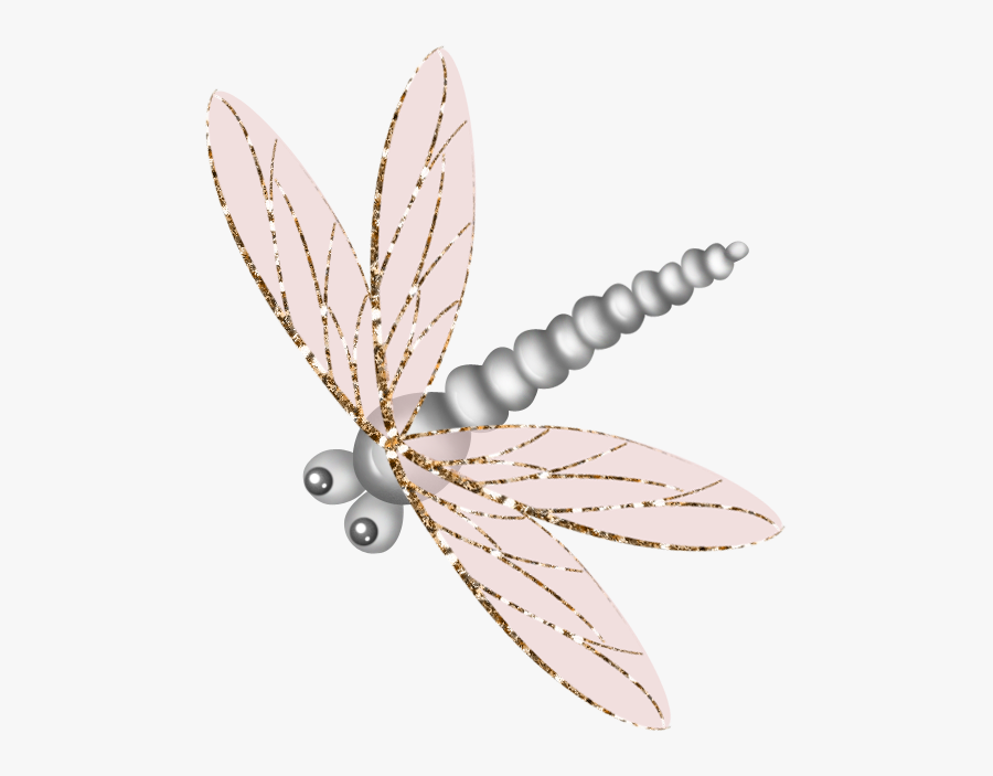 Dragonfly, Transparent Clipart