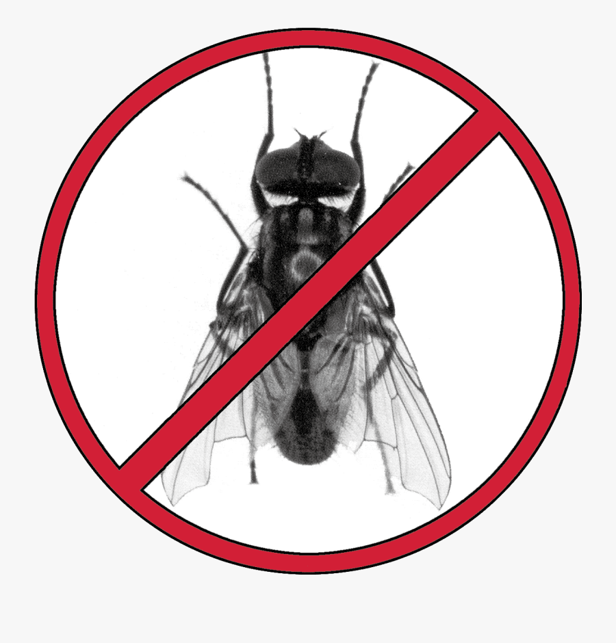 Misanthrope Vegan, Transparent Clipart