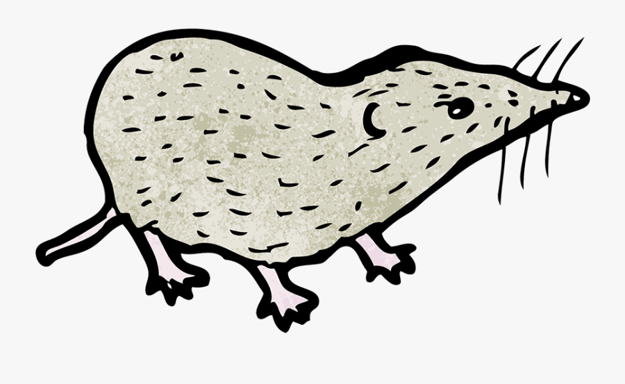 Transparent Naughty Clipart - Shrew Clipart, Transparent Clipart