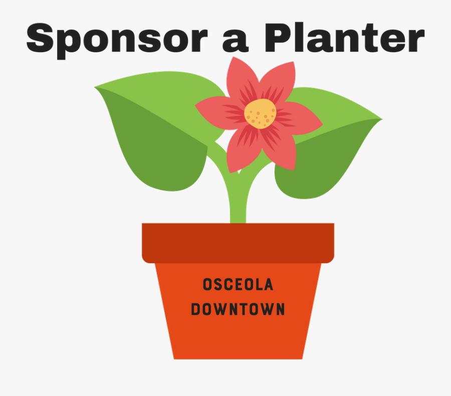 Picture - Tulipa Humilis, Transparent Clipart