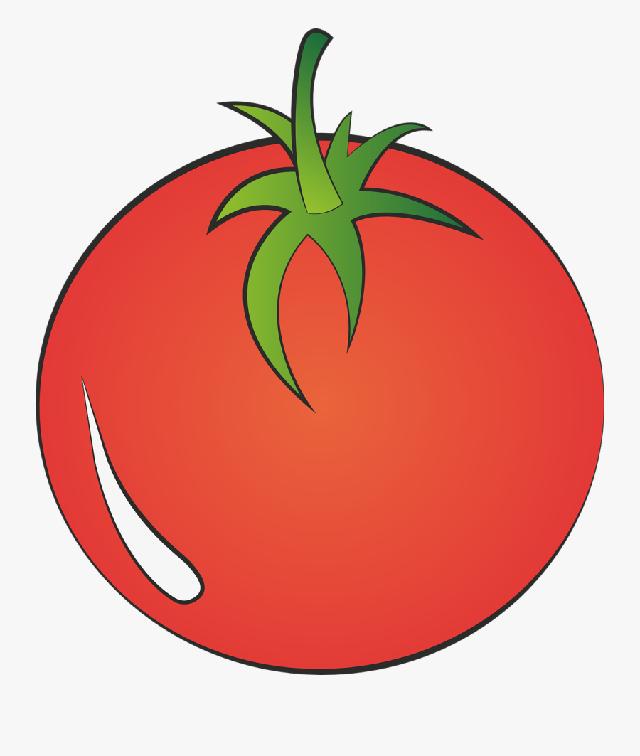 Tomato Vegetables Red Free Picture - Tomato, Transparent Clipart