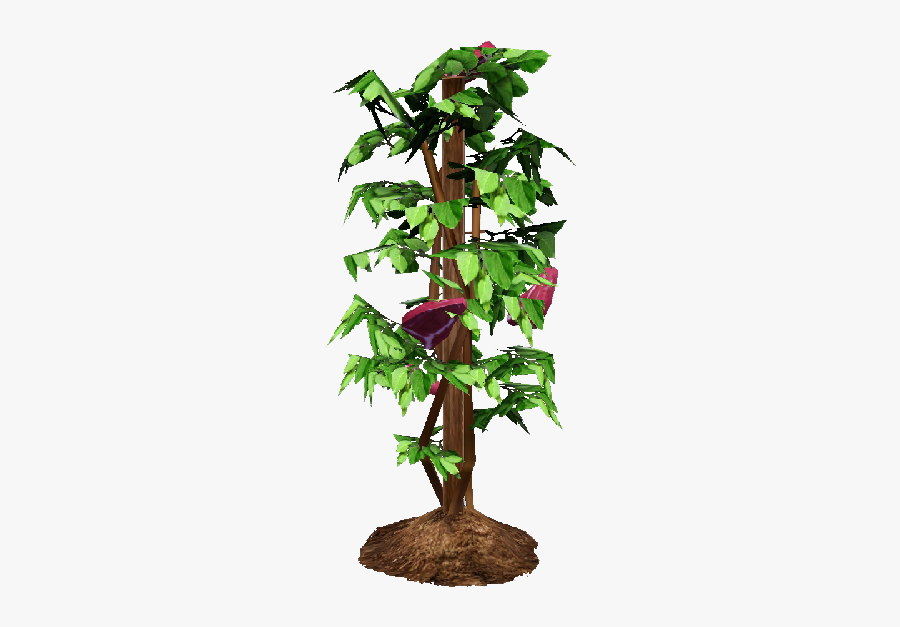 Tomato Plant Png - Houseplant, Transparent Clipart