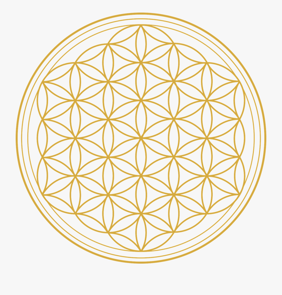 Flower Of Life And Death, Transparent Clipart