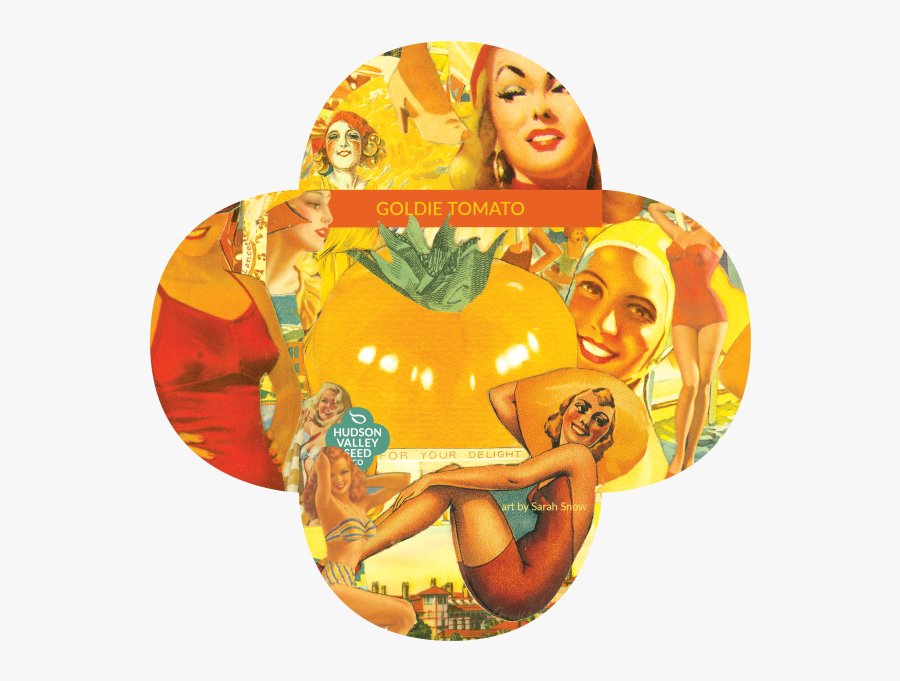 Goldie Tomato Quatrefoil - Inflatable, Transparent Clipart