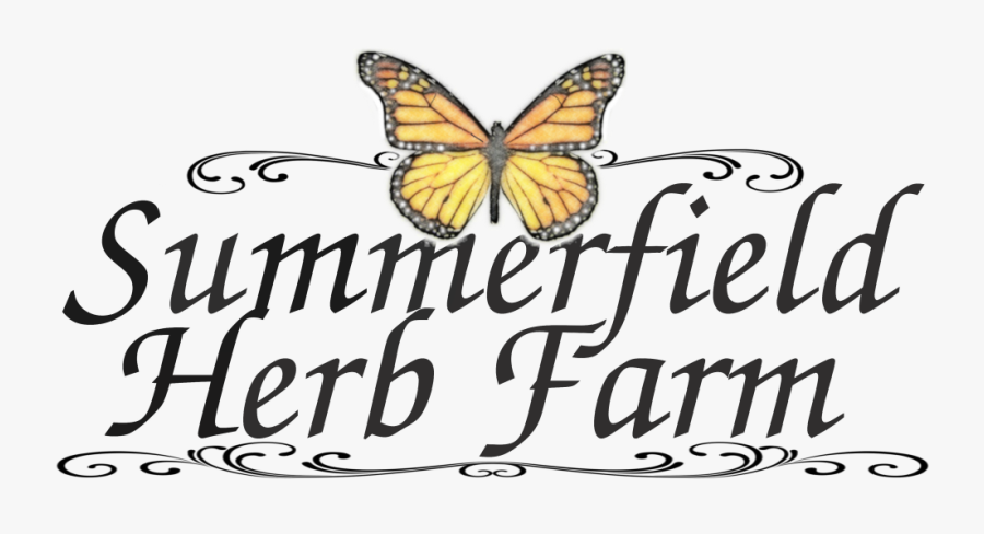 Barlinek, Transparent Clipart