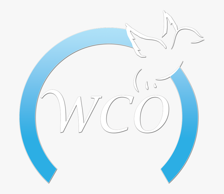 Circle, Transparent Clipart