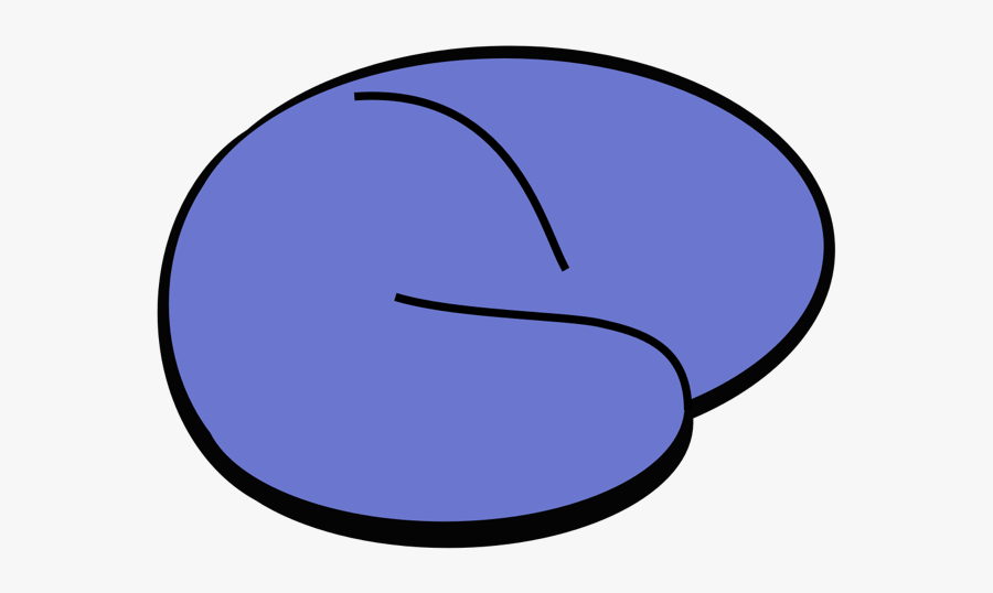 Circle, Transparent Clipart