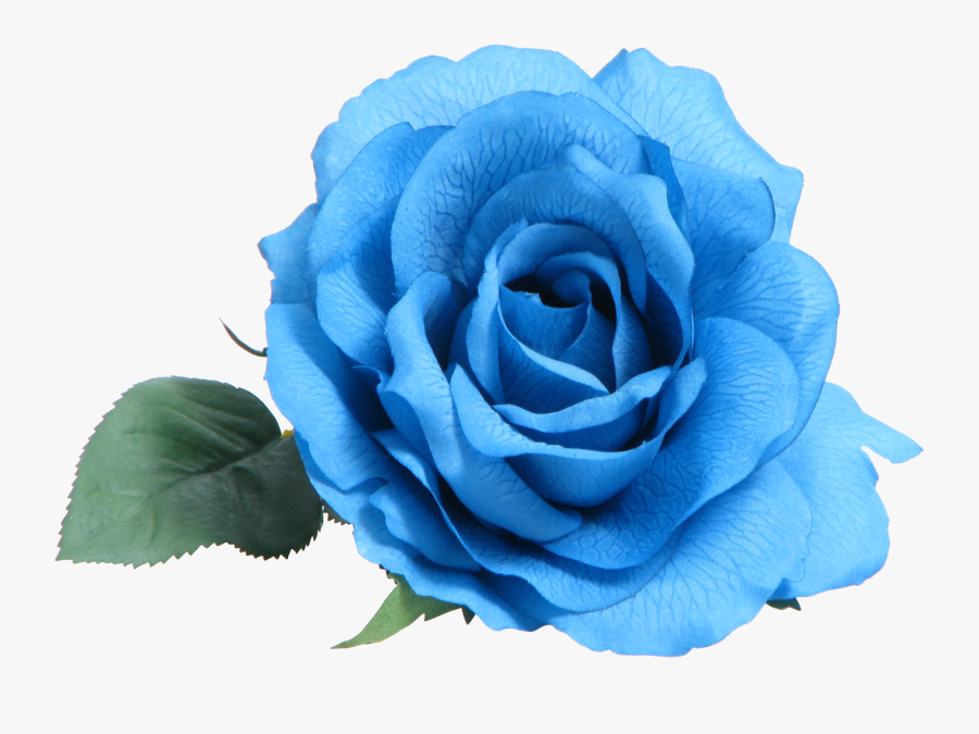 Blue Rose Clip Art - Transparent Blue Flower Png, Transparent Clipart