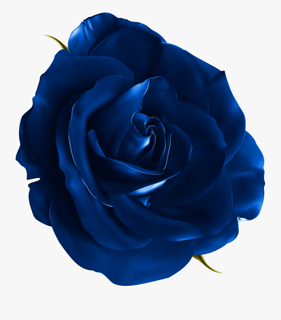 Blue Rose Png Download - Flower Realistic Clip Art, Transparent Clipart