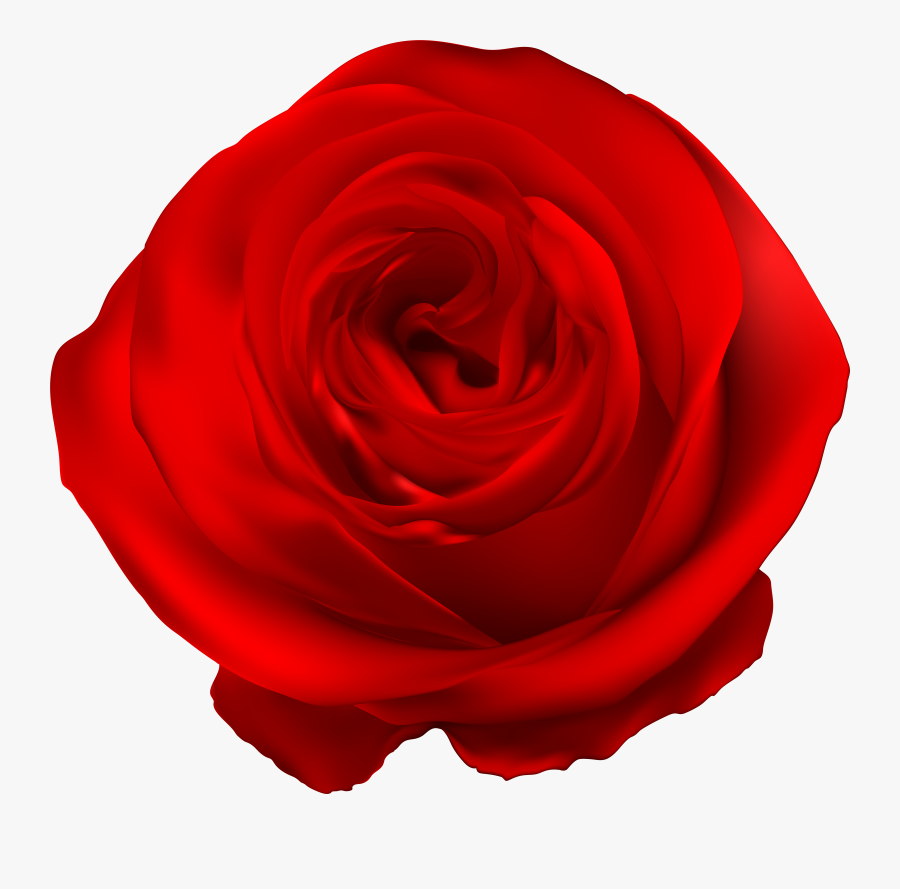 Garden Roses Blue Rose Clip Art , Png Download, Transparent Clipart