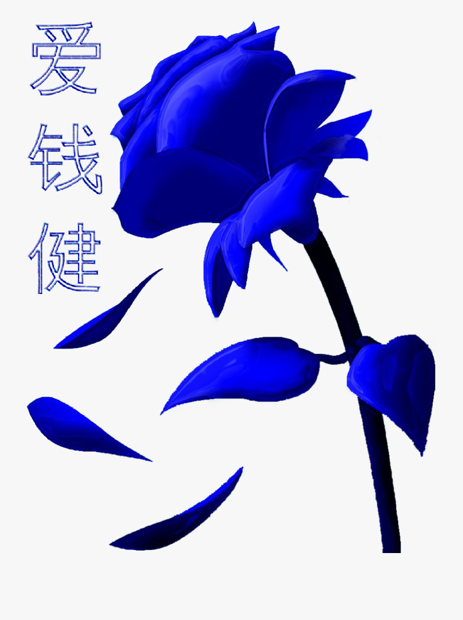 Full Hd Blue Rose, Transparent Clipart