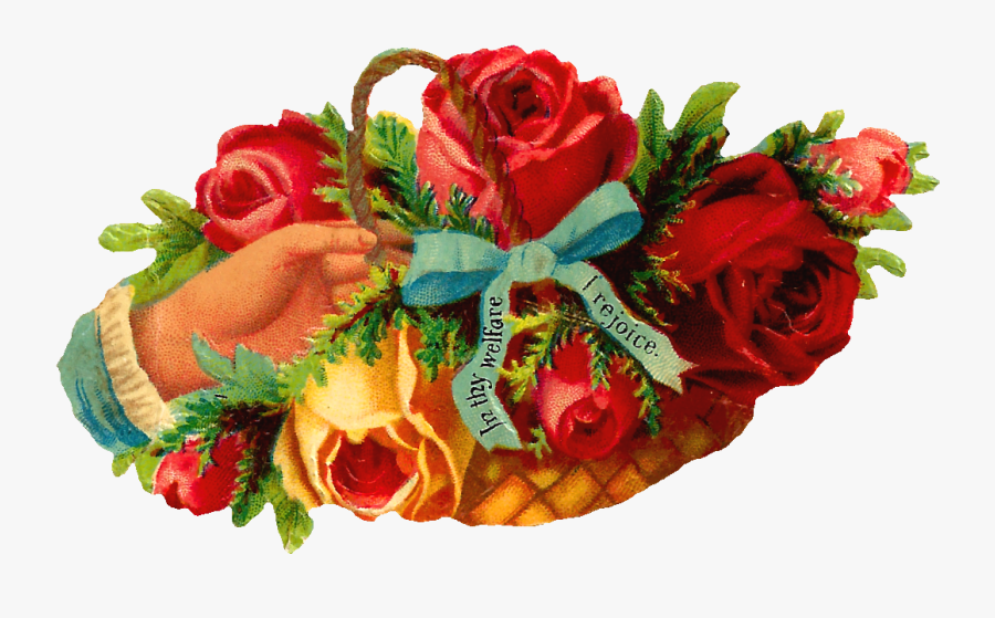 Floribunda, Transparent Clipart