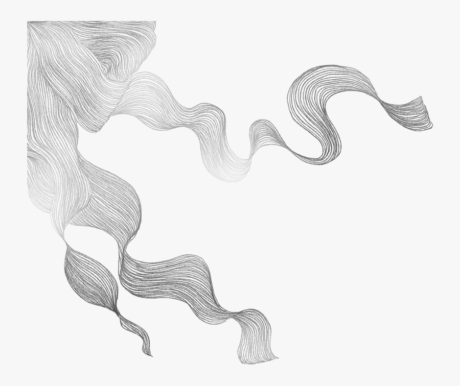 Sketch, Transparent Clipart