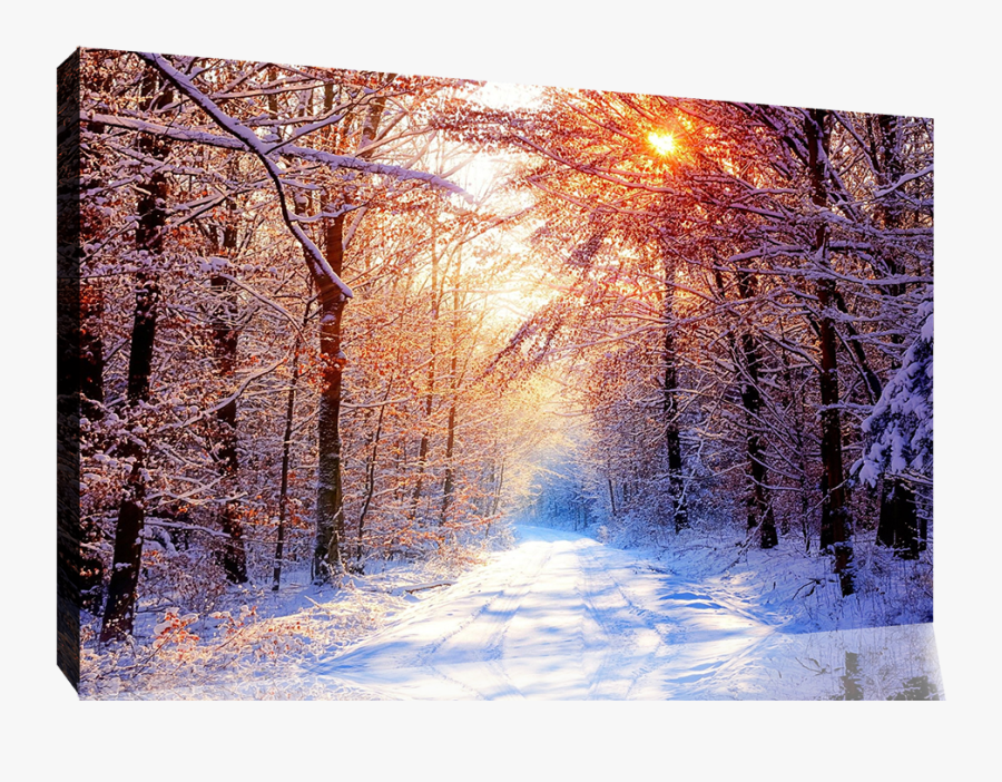 Snow Scenes In Ireland, Transparent Clipart