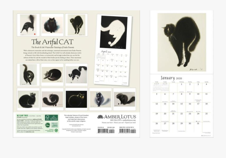 Black Cat, Transparent Clipart